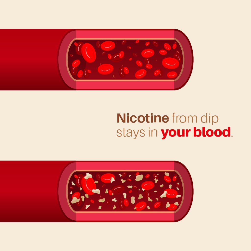 animated picture of blood with and without nicotine with text saying "nicotine from dip stays in your blood"