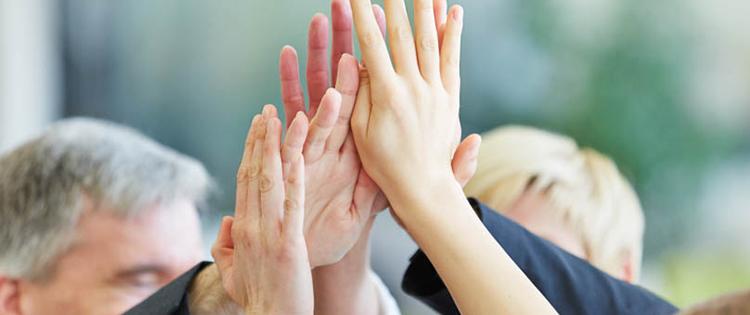 Photo of severals adults' hands high fiving.